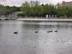 -长春世界雕塑园冰雪艺术天地