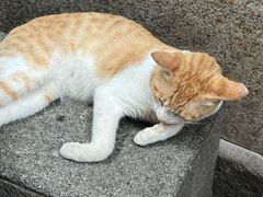 -吴财记面家(大同路店)