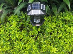 -广州神农草堂中医药博物馆