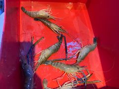 -钳真多钓虾馆·小龙虾海鲜烧烤(九六广场店)