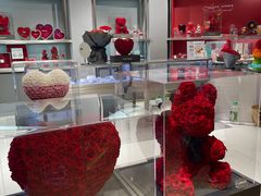 -ROSEONLY诺誓(广州K11店)