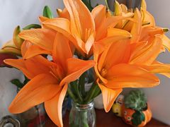 -太二酸菜鱼(石家庄万象城店)