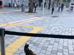 -迪拜相框