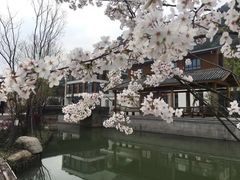 -湘湖金融镇