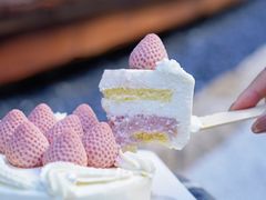 -壹点壹客·生日蛋糕(南山店)