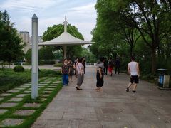 -新江湾城公园