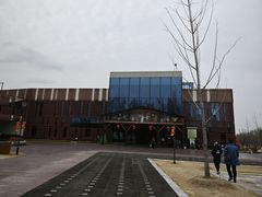 -黄海国家森林公园