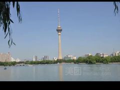 -莲花池公园