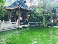 -碧江金楼