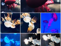 -南京金牛湖风景区