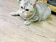 -小时光咖啡馆(开森度假森林店)