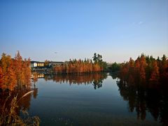 -白鹭湾湿地公园