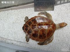 -中国地质大学逸夫博物馆