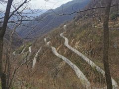 -牛背梁国家森林公园