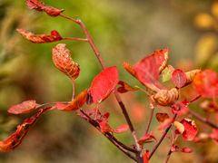 -周口店坡峰岭风景区