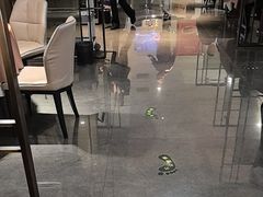 -豫丰汇河南名菜楼(武记餐饮)