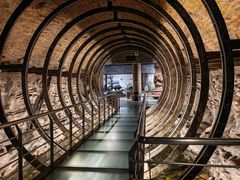 -乐山乌木文化博览苑