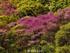 -终南山国家森林公园