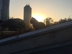 -UNI UNI(环亚凯瑟琳店)