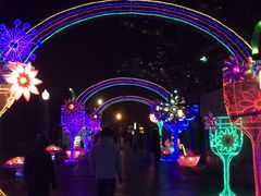 -青岛方特梦幻王国