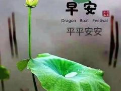 -新侨小馆(东直门北小街店)