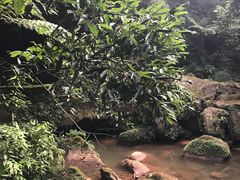 -赤水丹霞旅游区·佛光岩