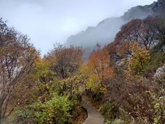 -灵山