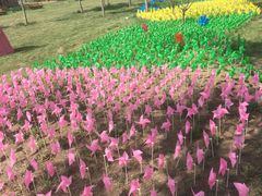 -武清南湖绿博园