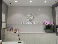 -关爱宠物医院·猫科中心·消化科(滨湖万达分院)