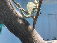 -石家庄市动物园