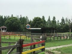 -田园东方蜜桃村的田野营地