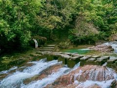 -广州白江湖森林公园