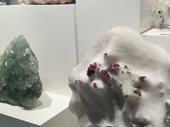 -重庆自然博物馆(新馆)