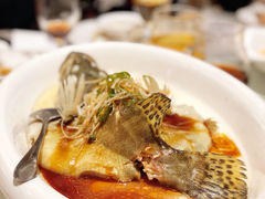 -新君悦国际酒店
