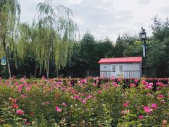 -西安汉城湖景区