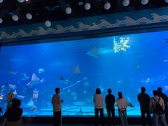 -烟台海昌鲸鲨海洋公园