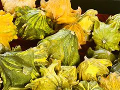 -中环花鸟鱼虫市场