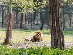 -秦皇岛野生动物园