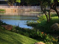 -人民公园(罗湖区)