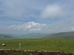 -御道口草原森林风景区