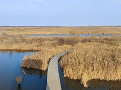 -盐城丹顶鹤湿地生态旅游区