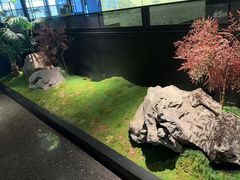 -杭儿风餐厅(嘉里中心店)