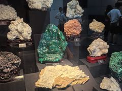 -烟台自然博物馆