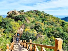 -大岭沟猕猴桃谷风景区