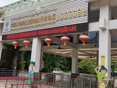 -中国科学院西双版纳热带植物园