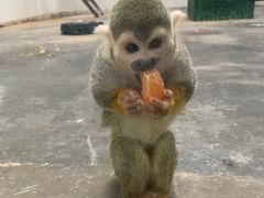 -西安秦岭野生动物园