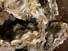 高压锅竹笼蒸蚝-蚝堡海鲜·威海菜·海肠捞饭·烧烤·亚洲吃蚝公司(幸福门店)