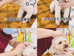 -美联众合动物医院·24h京西诊疗中心