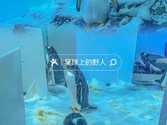 -正佳极地海洋世界