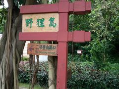 -野狸岛